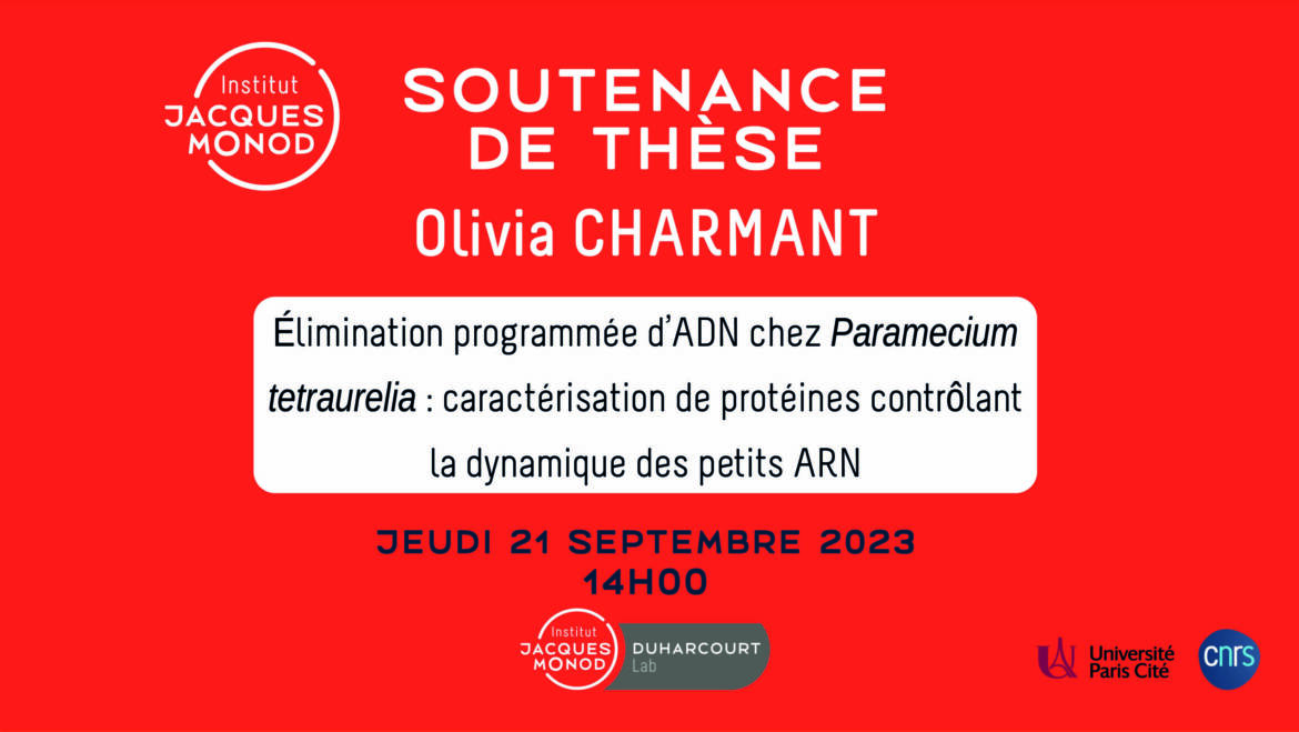 Soutenance de thèse – Olivia Charmant