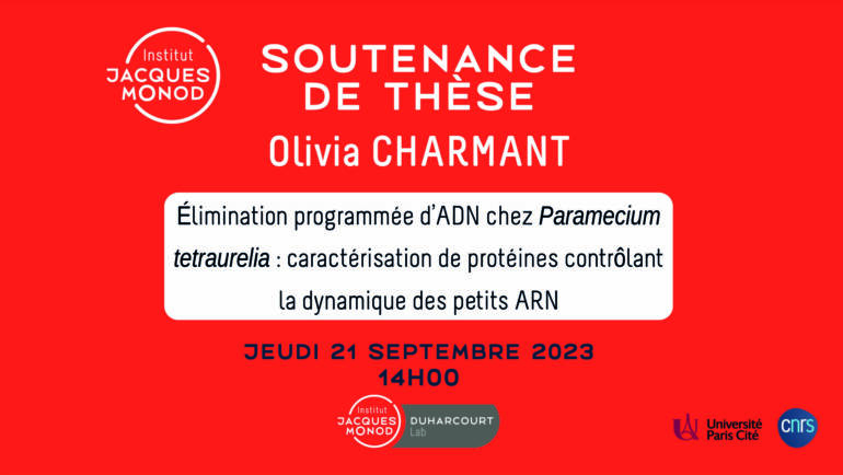 Soutenance de thèse – Olivia Charmant