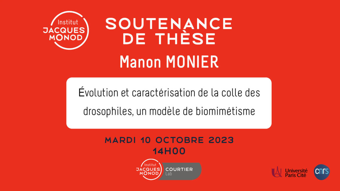 Thesis defense – Manon Monier  – 10/10/2023