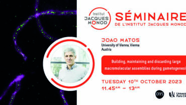 IJM Seminar – Joao Matos – 10/10/2023