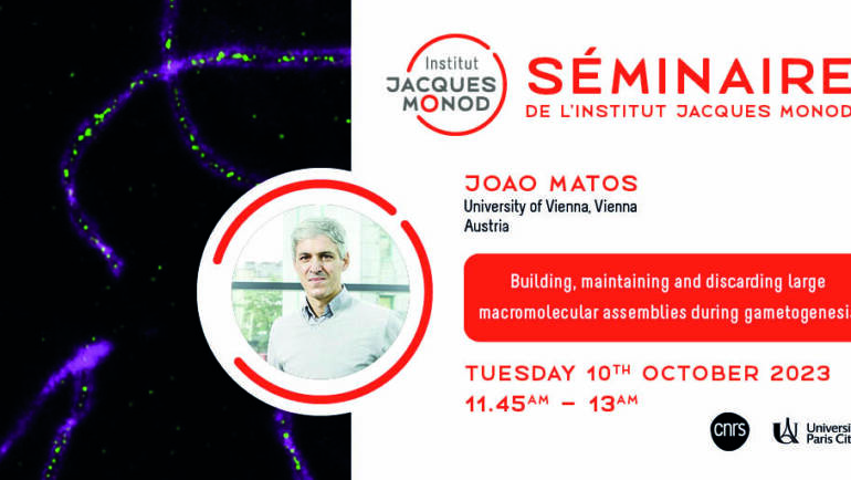 Séminaire IJM – Joao Matos – 10/10/2023