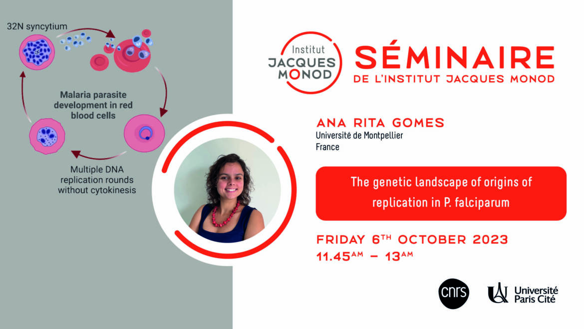 IJM Seminar – Ana Rita Gomes – 06/10/2023