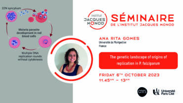 Séminaire IJM – Ana Rita Gomes – 06/10/2023