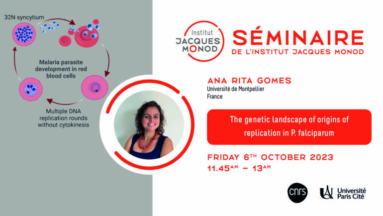 Séminaire IJM – Ana Rita Gomes – 06/10/2023