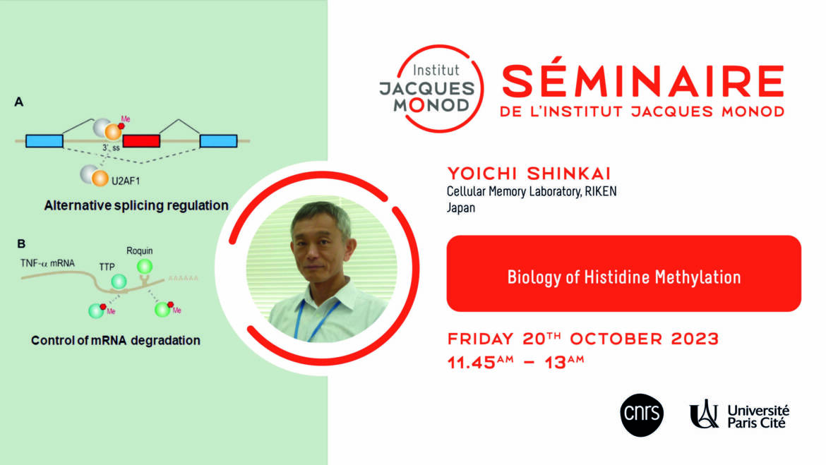 Séminaire IJM – Yoichi Shinkai – 20/10/2023