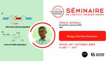 Séminaire IJM Seminar – Yoichi Shinkai – 20/10/2023