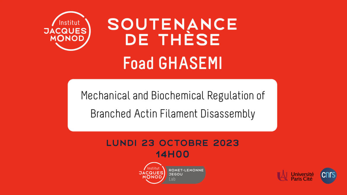 Soutenance de thèse – Foad Ghasemi