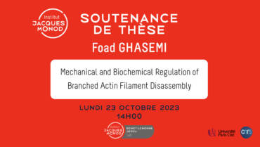 Soutenance de thèse – Foad Ghasemi