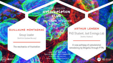 Cytoskeleton club – 18/10/23