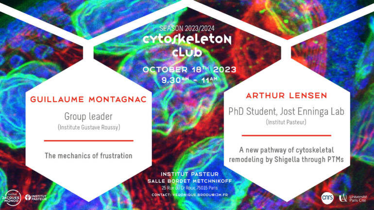 Cytoskeleton club – 18/10/23