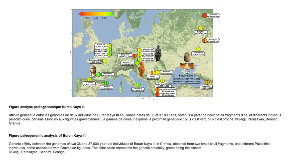 Grange/Geigl Lab – Genome sequences of 36-37,000 year-old modern humans at Buran-Kaya III in Crimea