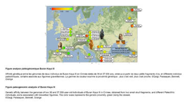 Grange/Geigl Lab – Genome sequences of 36-37,000 year-old modern humans at Buran-Kaya III in Crimea
