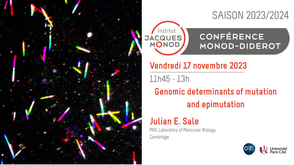 Conférence Monod-Diderot – Julian Sale – 17/11/2023