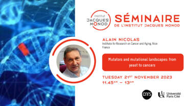 IJM Seminar – Alain Nicolas – 21/11/2023