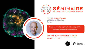 IJM Seminar – Josh Brickman – 10/11/2023
