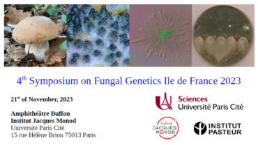 4th Symposium on Fungal Genetics Ile de France 2023 21/11/2023