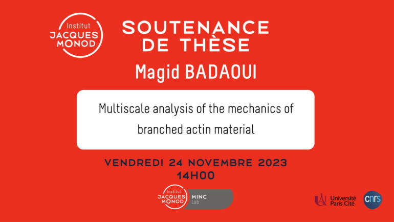 Soutenance de thèse – Magid Badaoui – 24/11/2023