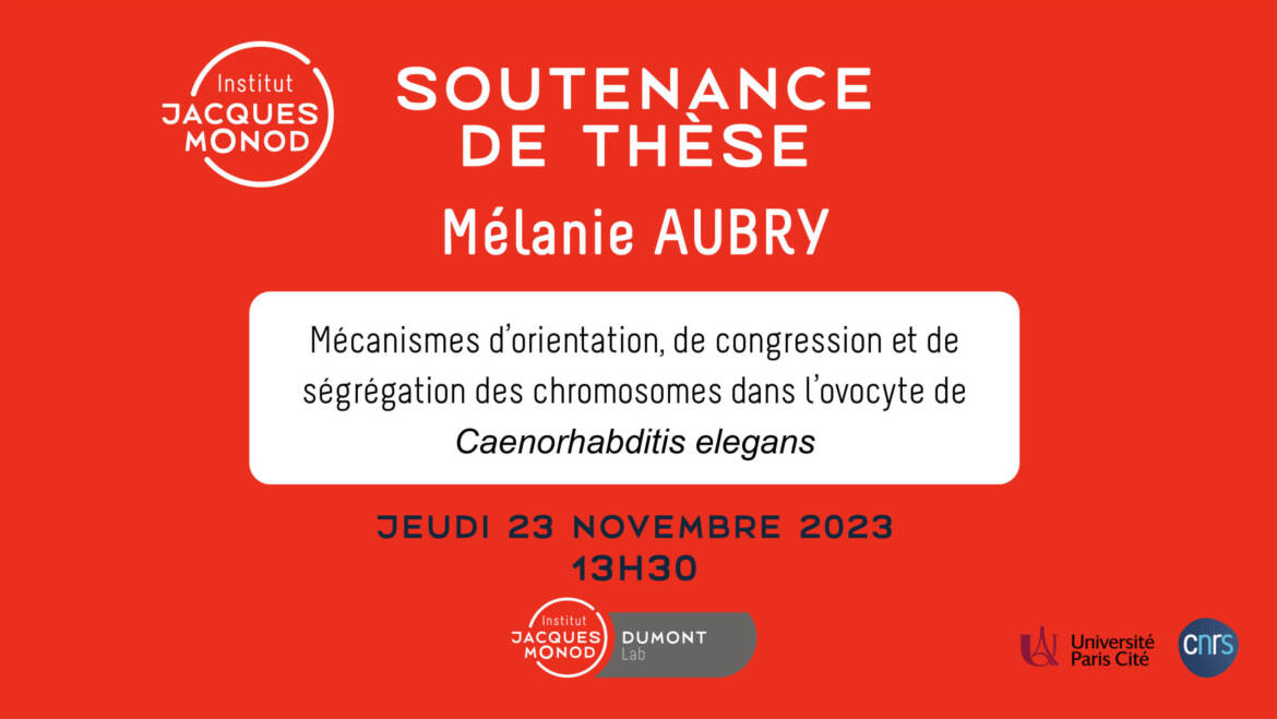 PhD defense – Mélanie Aubry – 23/11/2023