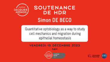 Soutenance de HDR – Simon De Beco – 15/12/2023