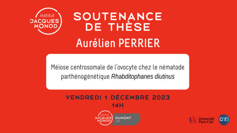 Soutenance de thèse – Aurélien Perrier – 1/12/23