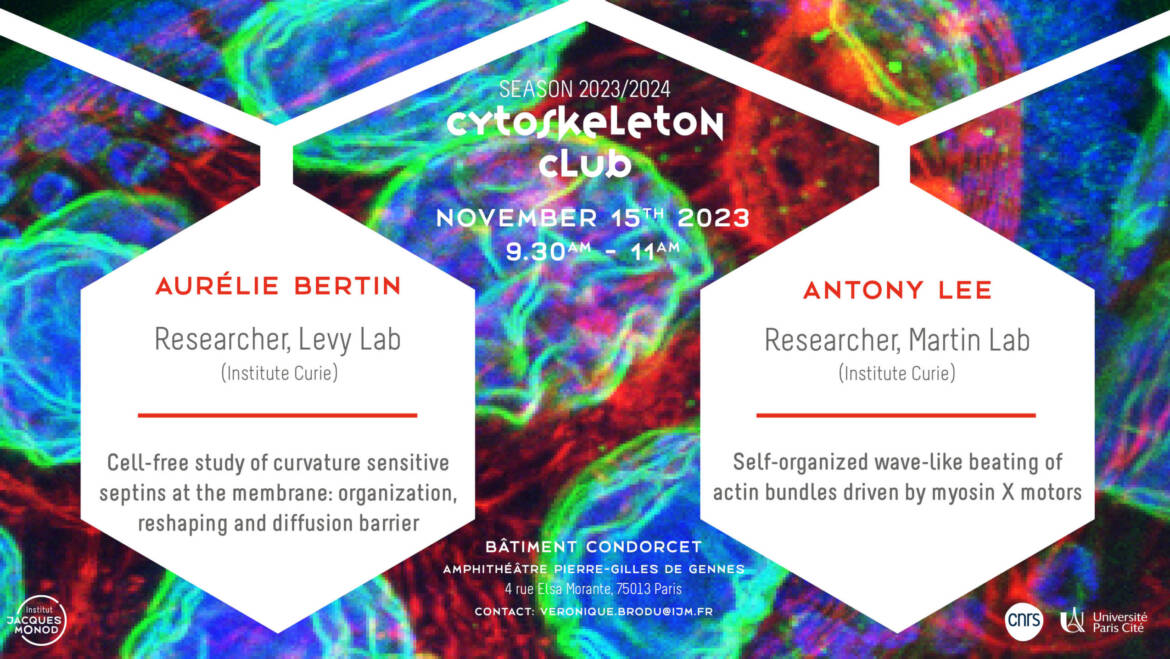 Cytoskeleton Club – 15/11/23