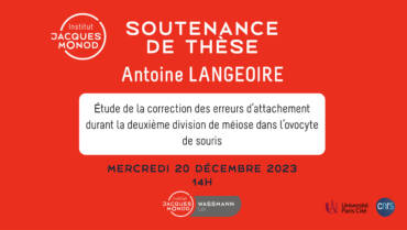 Thesis defense – Antoine Langeoire – 20/12/2023