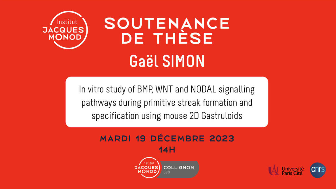 Soutenance de thèse – Gaël Simon – 19/12/2023