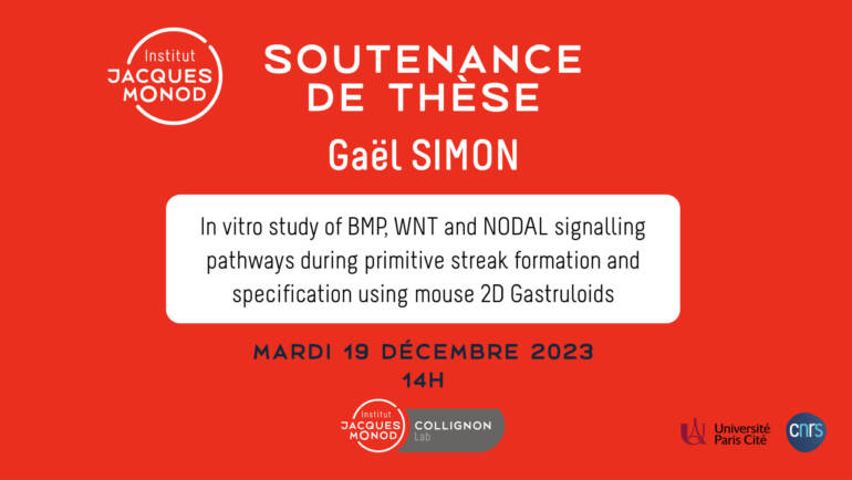 Thesis defense – Gaël Simon – 19/12/2023
