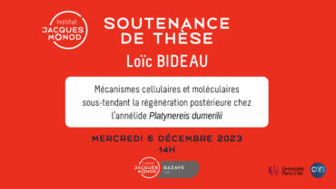 Thesis defense – Loïc Bideau – 06/12/2023