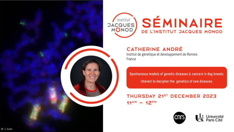 IJM Seminar – Catherine André – 21/12/2023