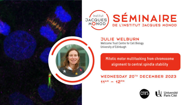 IJM Seminar – Julie Welburn – 20/12/2023