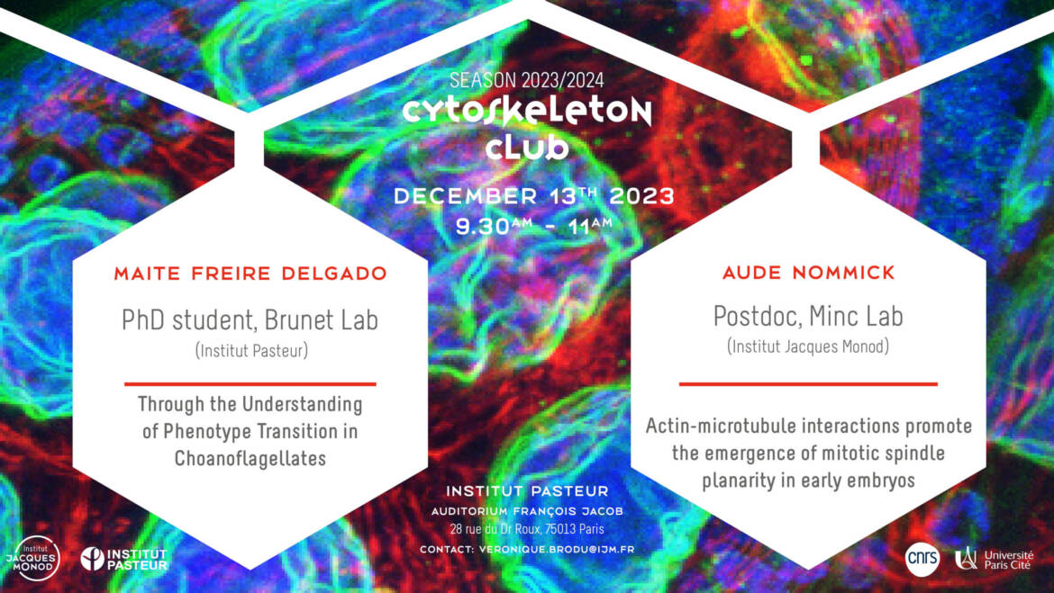 Cytoskeleton Club – 13/12/2023