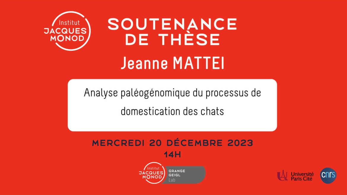 Soutenance de thèse – Jeanne Mattei – 20/12/2023