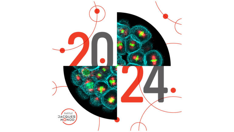 The Institut Jacques Monod wishes you a happy new year 2024!