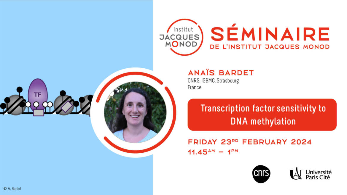 IJM Seminar – Anaïs Bardet – 23/02/2024