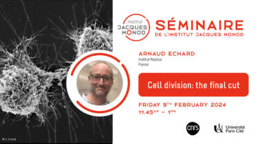 IJM Seminar – Arnaud Echard – 09/02/2024