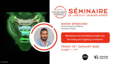 IJM Seminar – Simon Sprecher – 12/01/2024