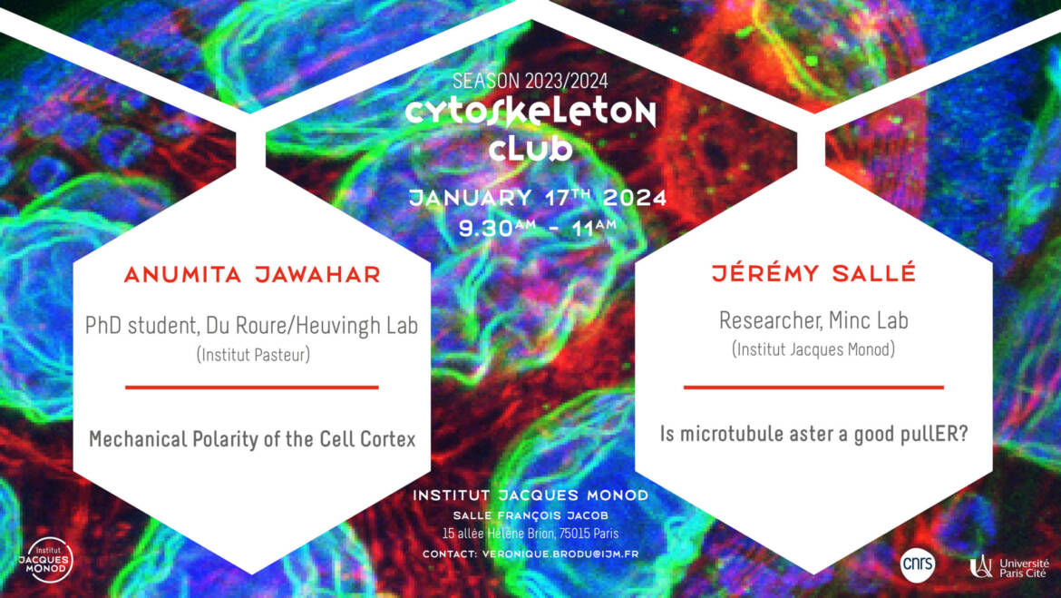 Cytoskeleton club – 17/01/2024