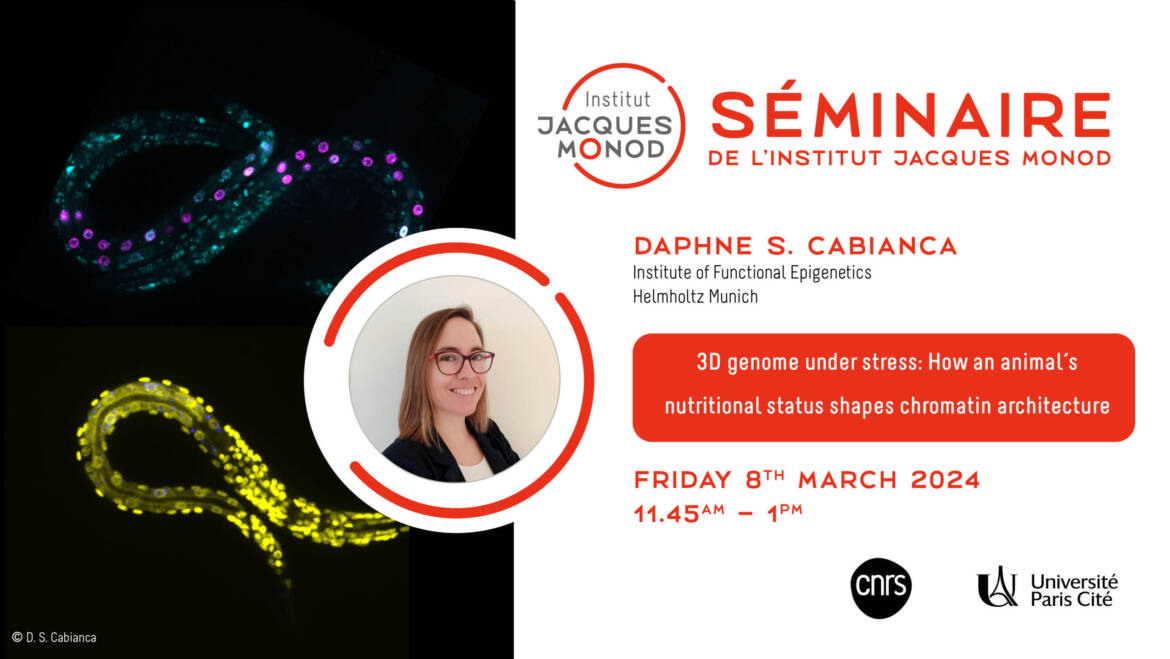 IJM Seminar – Daphne S. Cabianca – 08/03/2024