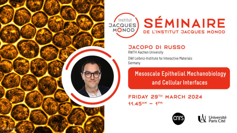IJM Seminar – Jacopo Di Russo – 29/03/2024