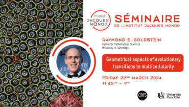Séminaire IJM – Raymond E. Goldstein – 22/03/2024