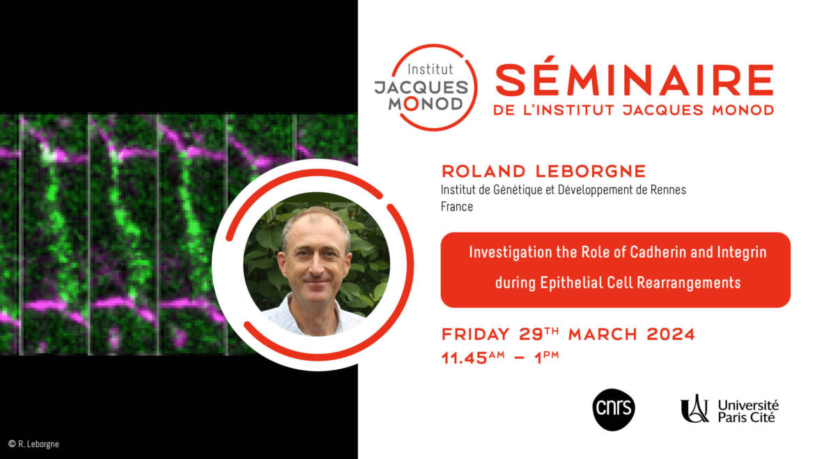 IJM Seminar – Roland Leborgne – 29/03/2024
