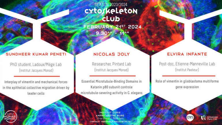 Cytoskeleton club 21/02/2024
