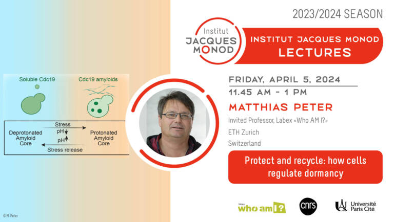 Conférence de l’Institut Jacques Monod – Matthias Peter – 05/04/2024