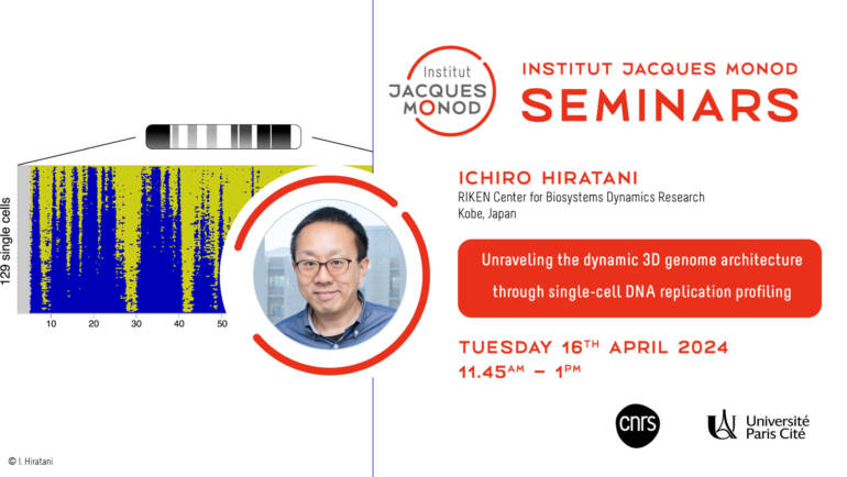 Séminaire de l’IJM – Ichiro Hiratani – 16/04/2024