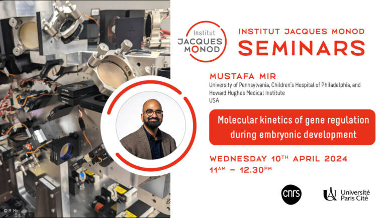 IJM Seminar – Mustafa Mir – 10/04/2024