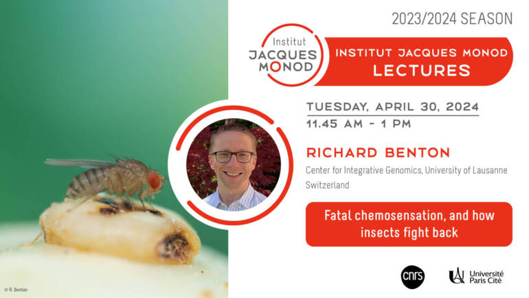 Institut Jacques Monod Lectures – Richard Benton – 30/04/2024