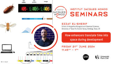 IJM  Seminar – Ezzat El-Sherif – 21/06/2024