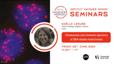 IJM Seminar – Gaëlle Legube – 28/06/2024