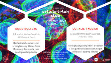 Cytoskeleton club – 15/05/2024